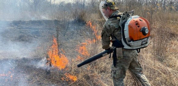 Лесные пожары закрыли в Приморье доступ к природными объектам