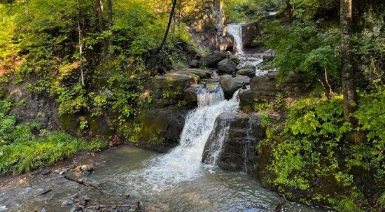 Приморцам предлагают убрать мусор на экотропе «Кравцовские водопады»