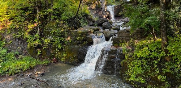 Приморцам предлагают убрать мусор на экотропе «Кравцовские водопады»