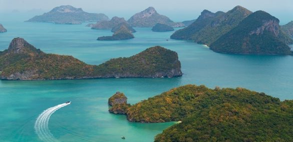 Чем заняться в мае в Таиланде: 8 фестивалей и шоу, которые покорят своей атмосферой