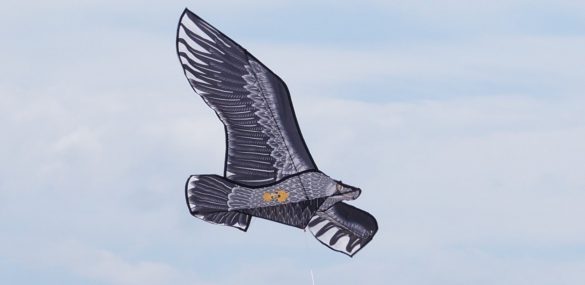 «Небо на ладони» можно удержать во время фестиваля в Арсеньеве