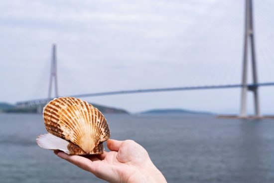 Владивосток отметит свой день рождения гастрономическим праздником – фестивалем гребешка