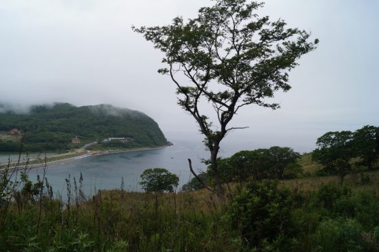 Находкинская «Тропа осьминога» удивит креативным подходом к экскурсиям