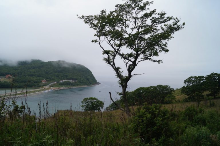 Более 400 млн руб. из федерального бюджета запланировано на туристические тропы в Находке и Владивостоке