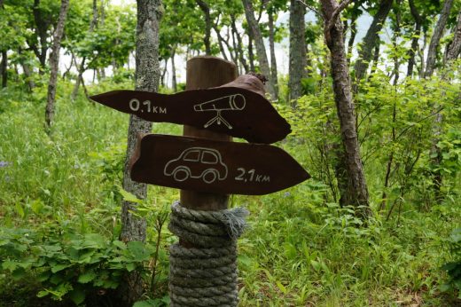 Тернейский район и Сихотэ-Алинский заповедник не досчитались туристов