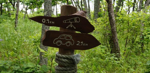 Тернейский район и Сихотэ-Алинский заповедник не досчитались туристов