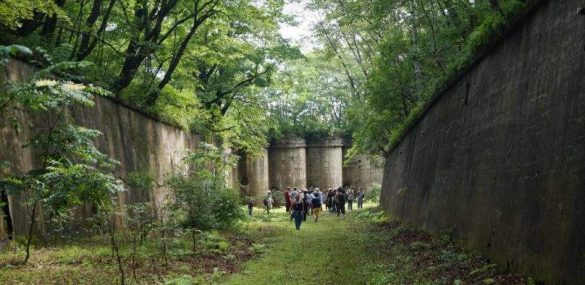 Фестиваль культуры «Владивостокская крепость»: вписываем мероприятия в план знакомства с Владивостоком