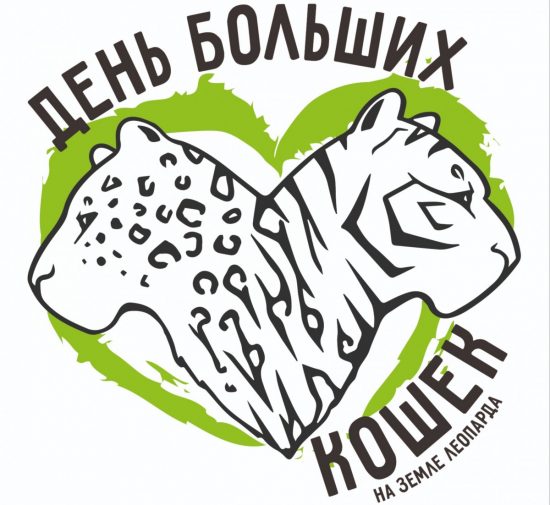 Фестиваль «День больших кошек» впервые пройдет в Приморье