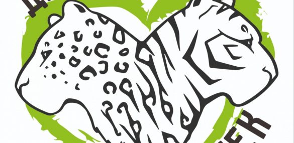 Фестиваль «День больших кошек» впервые пройдет в Приморье