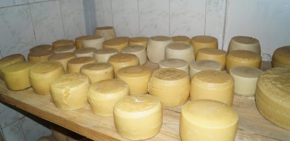 Экскурсия на сыроварню к Марко Мельпиньяно: дегустируем, смотрим, наслаждаемся и создаем