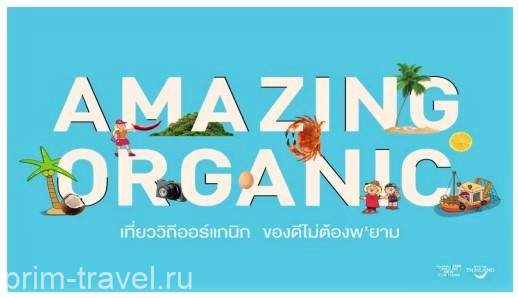 Туристическое управление Таиланда объявило о запуске маршрутов для экотуризма по Чианг Маю и Пхукету