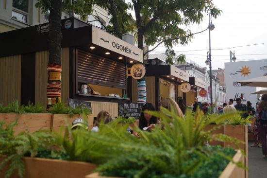 Предприятия туротрасли края пополнили бюджет Приморья на 1,6 млрд рублей