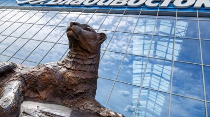 Аэропорт Владивосток запустил новый сервис для пассажиров