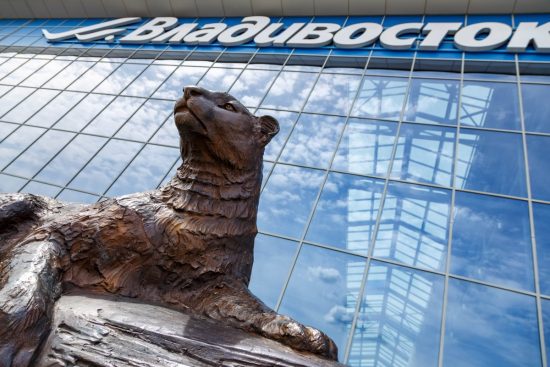 Аэропорт Владивосток запустил новый сервис для пассажиров