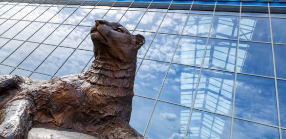 Аэропорт Владивосток запустил новый сервис для пассажиров