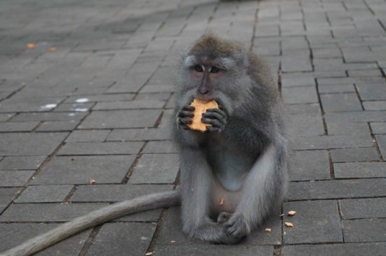 Чем займемся на отдыхе в ноябре в Таиланде