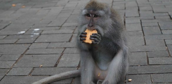 Чем займемся на отдыхе в ноябре в Таиланде