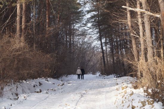 Острова залива Петра Великого станут доступнее для любителей пеших прогулок