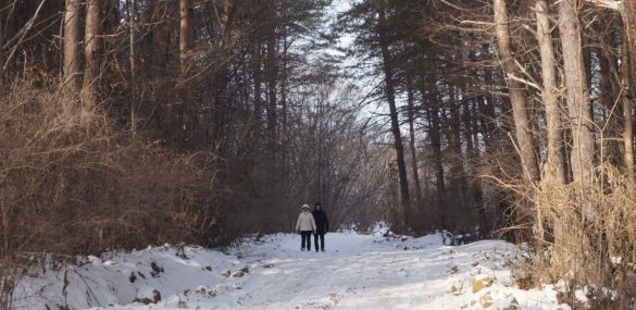 Острова залива Петра Великого станут доступнее для любителей пеших прогулок
