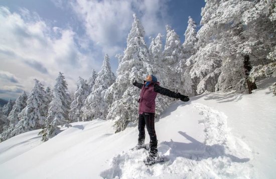 Новогодние праздники у приморцев: кто под пальмы, кто в тайгу