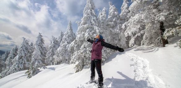 Новогодние праздники у приморцев: кто под пальмы, кто в тайгу