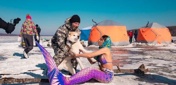 Гастроужин, рыбалка и тонны съеденной рыбы: как прошел 6-й фестиваль «Корюшка и Ко»