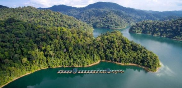 Глэмпинг Elephant Hills: где остановиться, чтобы отдохнуть в единении с природой