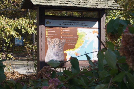 Сувениры, визит-центр, эко-тропа и водопады – экотуризм «Земли леопарды» пока без оленей