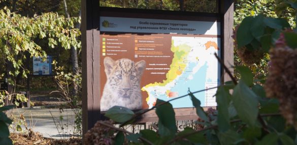 В нацпарке «Земля леопарда» озвучили планы по развитию экотуризма