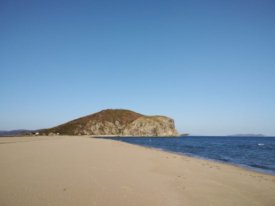 Голосуем за Приморье: «Земля леопарда» в лидерах по ДФО в проекте «Больше, чем путешествие»