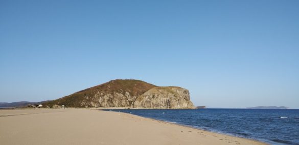 Голосуем за Приморье: «Земля леопарда» в лидерах по ДФО в проекте «Больше, чем путешествие»