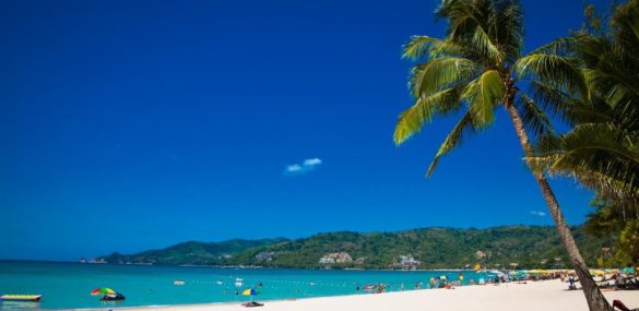 В Таиланде медузы нарушают идиллию пляжного отдыха