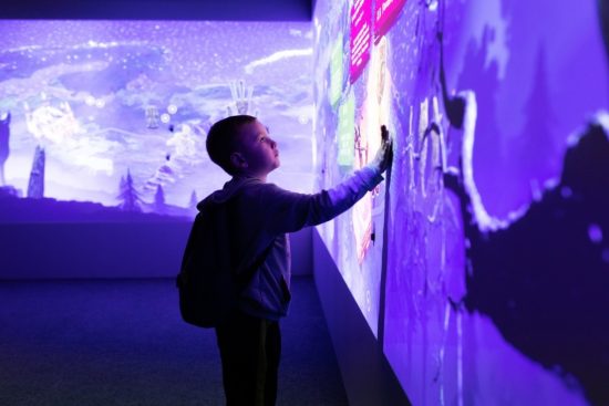 Проведем «ночь» в музее