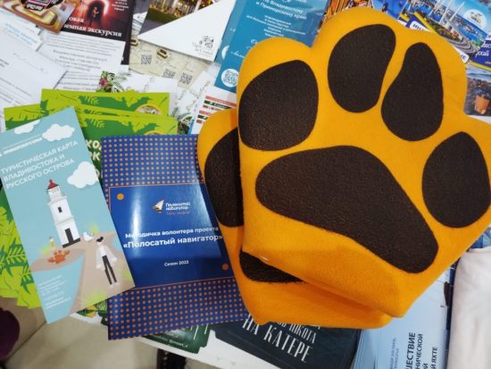 «Полосатые навигаторы» выйдут на улицы Владивостока в День города