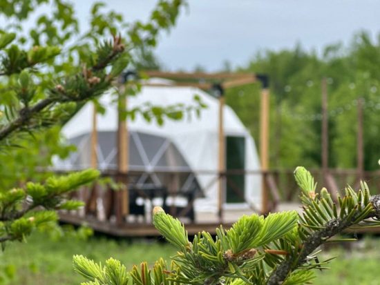 Глэмпинг с купольными «облаками» построили на «дальневосточных гектарах» в Приморье