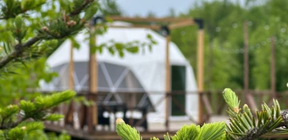 Глэмпинг с купольными «облаками» построили на «дальневосточных гектарах» в Приморье