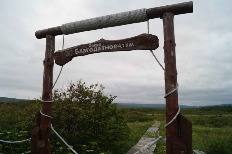 Знакомимся с жизнью Уссурийской тайги на Дне открытых дверей в Сихотэ-Алинском заповеднике