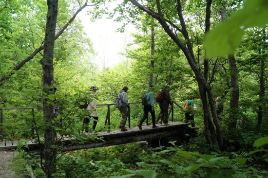 В Приморье 66 инструкторов-проводников вошли в федеральный реестр