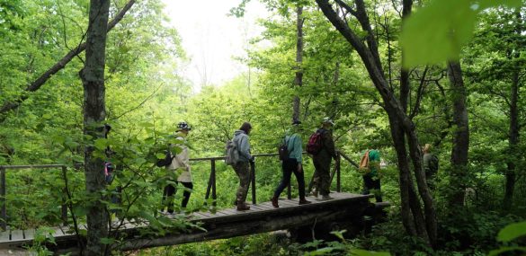 В Приморье 66 инструкторов-проводников вошли в федеральный реестр