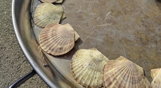 Гостей Владивостока угостят завтраком по-дальневосточному – гигантской яичницей с гребешком