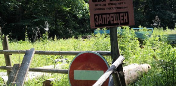 В Приморье выявляют нелегальные базы отдыха, действующие под видом пасек