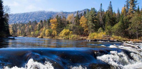 Национальный парк «Удэгейская легенда»: связь с «большой» землей восстановлена