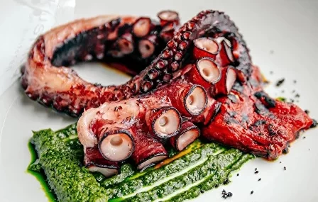 Пробуем море на вкус в «Ракушке»