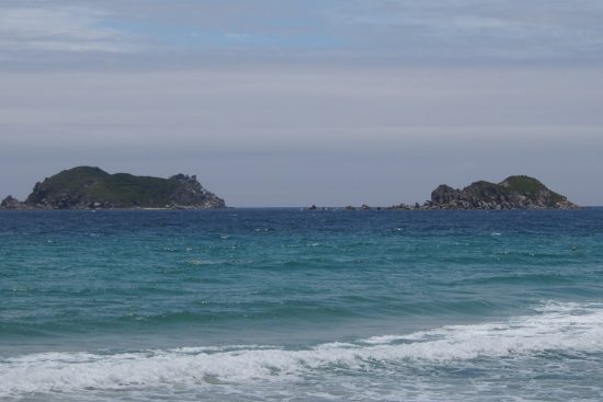 В Приморье базы отдыха «базируются» на побережье с нарушением законодательства