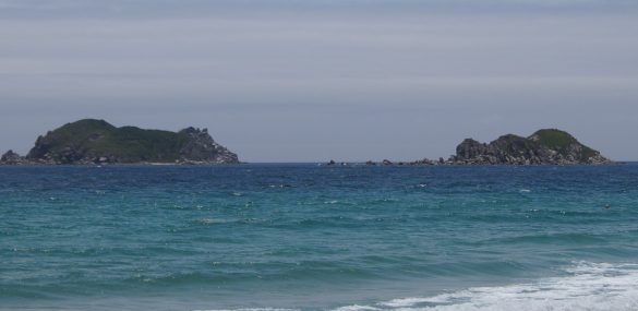 В Приморье базы отдыха «базируются» на побережье с нарушением законодательства