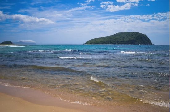 В Приморье место силы и уникальную тисовую рощу осовременили