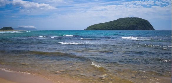 В Приморье место силы и уникальную тисовую рощу осовременили