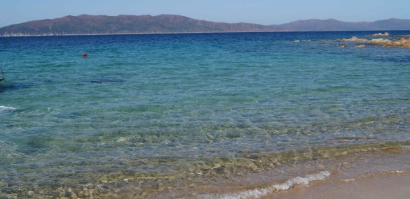 Россияне оценили пляжи Владивостока