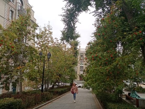 Владивосток стал самым дорогим российским направлениям для поездок в сентябре