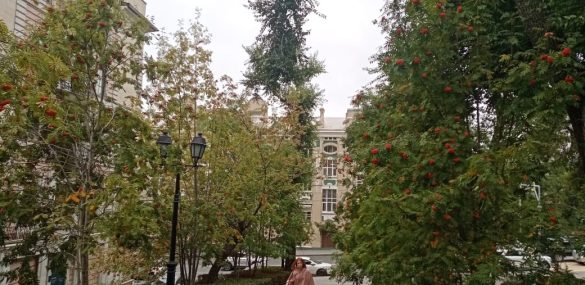 Владивосток стал самым дорогим российским направлениям для поездок в сентябре